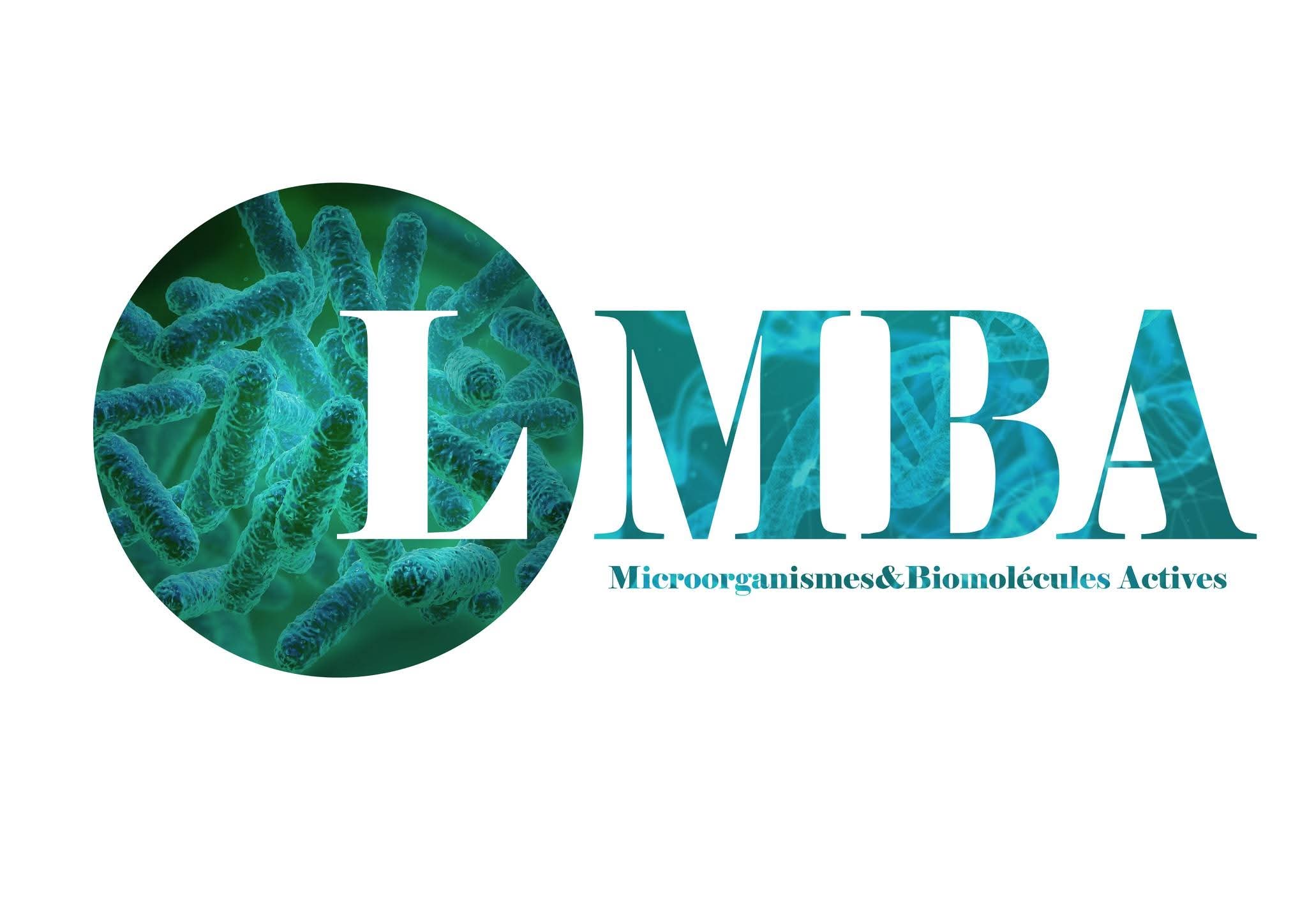 lmba